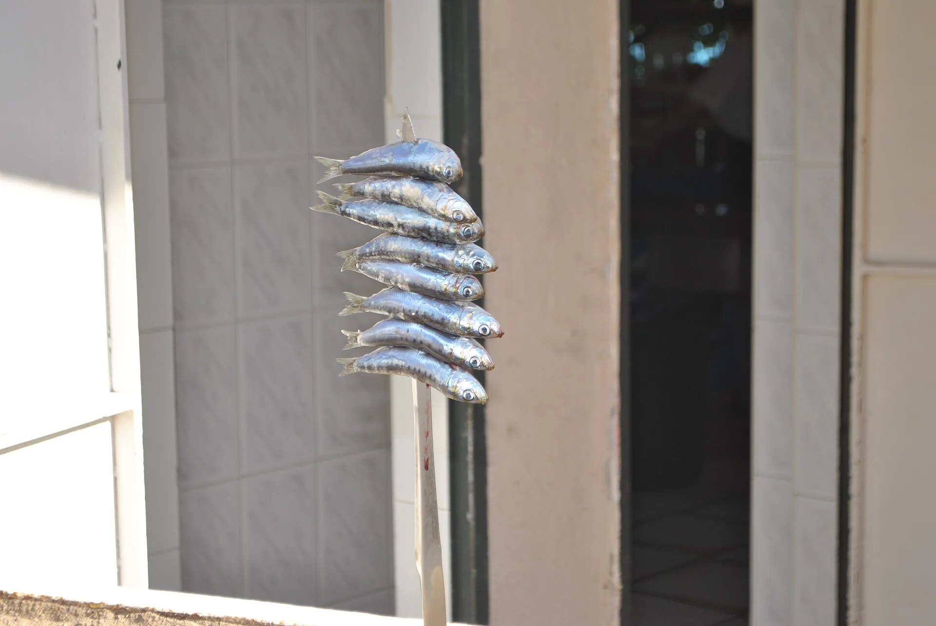 Espetos met sardines boven de kolen bij een chiringuito