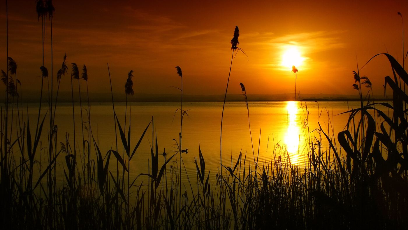 L’Albufera bij Valencia